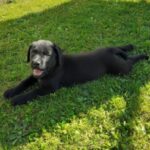 Profile picture of Hurrican