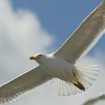 Profile picture of dani3475