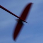 Profile picture of rc24